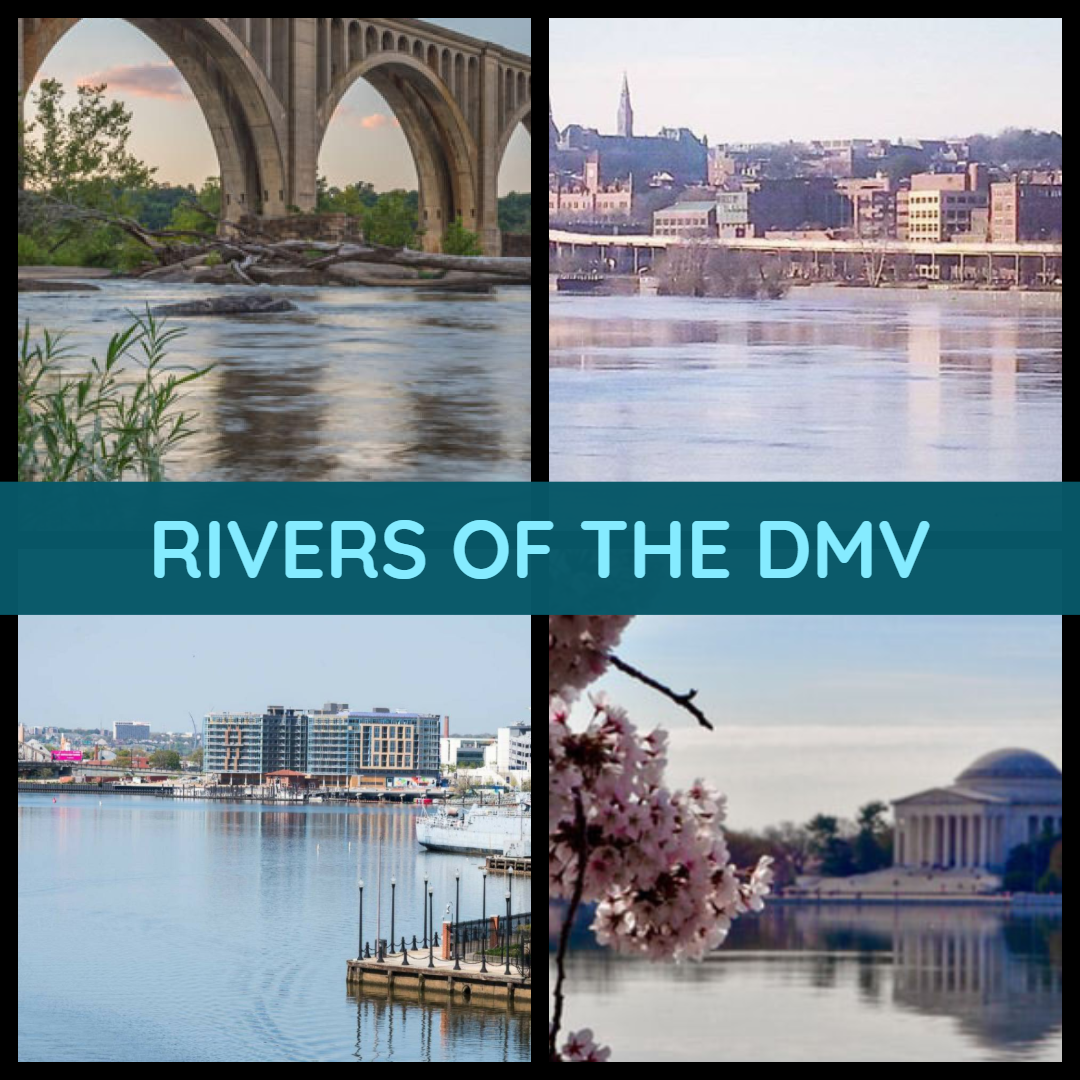 🌫 RIVERS OF THE DMV 🌫