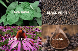 🌸 Cannabinoids in the Plant Kingdom 🌸